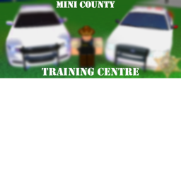 Mini County Sheriffs Office's  Training Camp