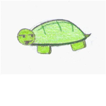 Turtle Army For Epic Turtles