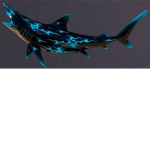 shark boi