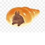 Bagel bunnies