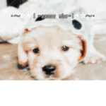sunny why