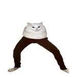 tacoburgercat