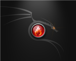 The Dark fire dragons