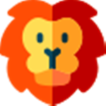 Lions Official V2