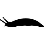 TEAM SLUG!!