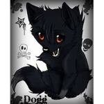 dark night wolfs