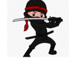 Nicks Ninja Academy
