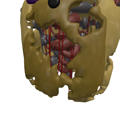 chest