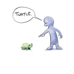 turtle team 21