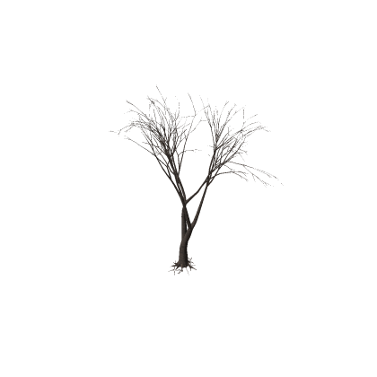 🎈 [*Working*] Realistic Dead Tree Model!
