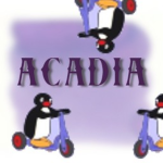 acadia ت
