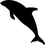 Vaquita