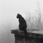 mourning hour