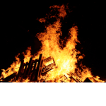 Thefirefanclub