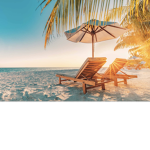 Summer’s designs