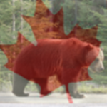 ### (Canadian Bear Nation)