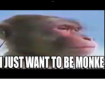 Monke civilizations