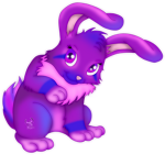Bonbon Fanclub