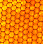 [The Hive Mind]