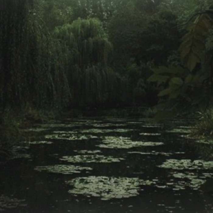 Mossy pond