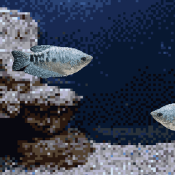 7fish