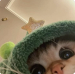 مملكه ايما