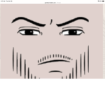 The Handsome Face