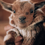 𝙴𝚟𝚎𝚛𝚢𝚋𝚘𝚍𝚢 𝚍𝚎𝚜𝚎𝚛𝚟𝚎𝚜