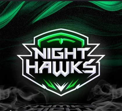 || NIGHTHAWKS || Roblox group icon