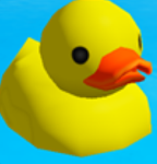 The Ducky Squad8640