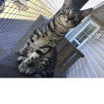 Molly’s hang out