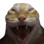 Urmumgay3q
