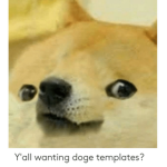 Doge Squad = :)