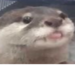 OofaDoofaLoopa