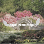 angel remainings