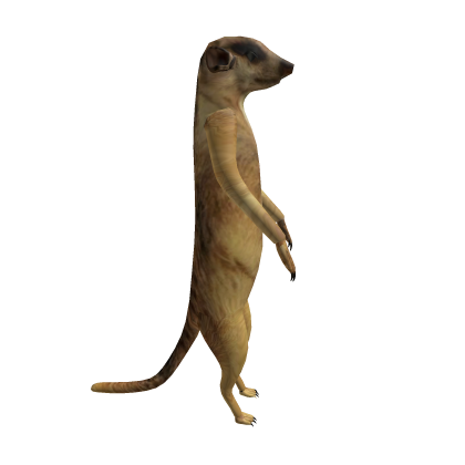 Meerkat Shoulder Buddy