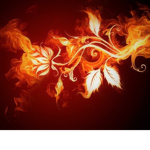 FiredStudios