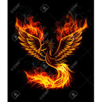 PhoenixZ Studio