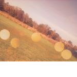 Rainbow hope's