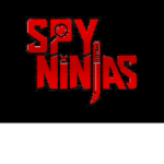 Official Spy Ninjas Group