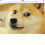 Ender doge