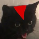 Ndkobis