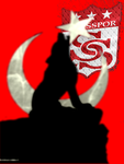 Sivaslilar