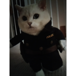 adorabili