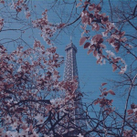 Forever paris <3