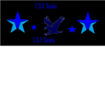 TSF Seals