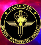 G.I.S|GRUPPO INTERVENTO SPECIALE