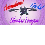 Dream shadow team