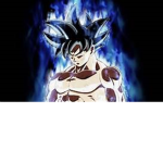 SUPER DRAGON BALLW