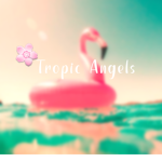 Tropic Angels